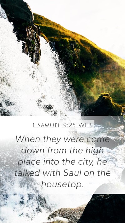 1 Samuel 9:25 WEB Bible Verse Image