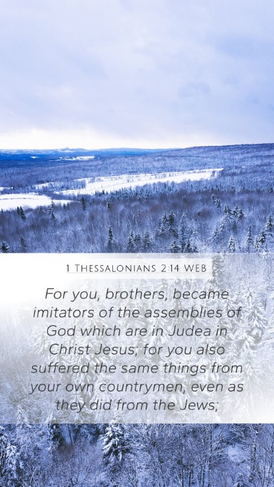 1 Thessalonians 2:14 WEB Bible Verse Image