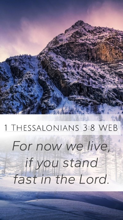 1 Thessalonians 3:8 WEB Bible Verse Image