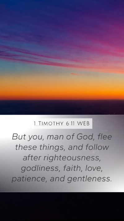 1 Timothy 6:11 WEB Bible Verse Image