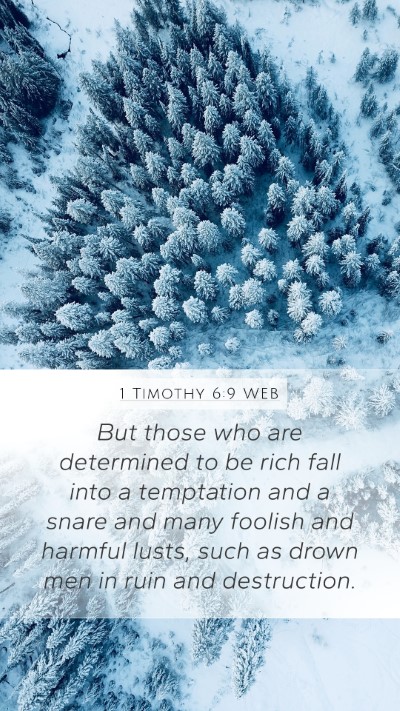 1 Timothy 6:9 WEB Bible Verse Image