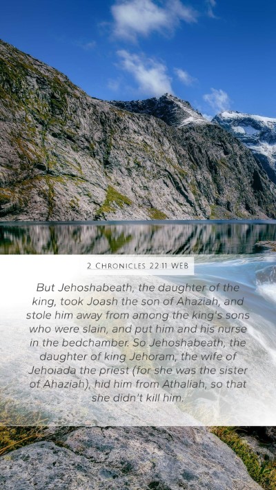 2 Chronicles 22:11 WEB Bible Verse Image
