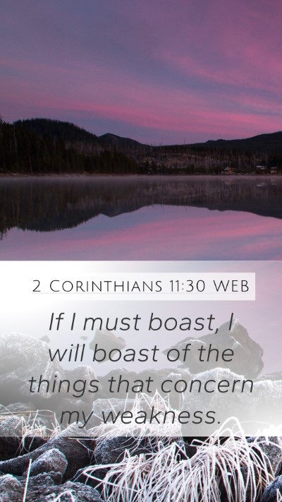 2 Corinthians 11:30 WEB Bible Verse Image