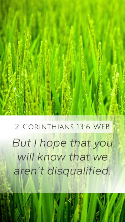 2 Corinthians 13:6 WEB Bible Verse Image