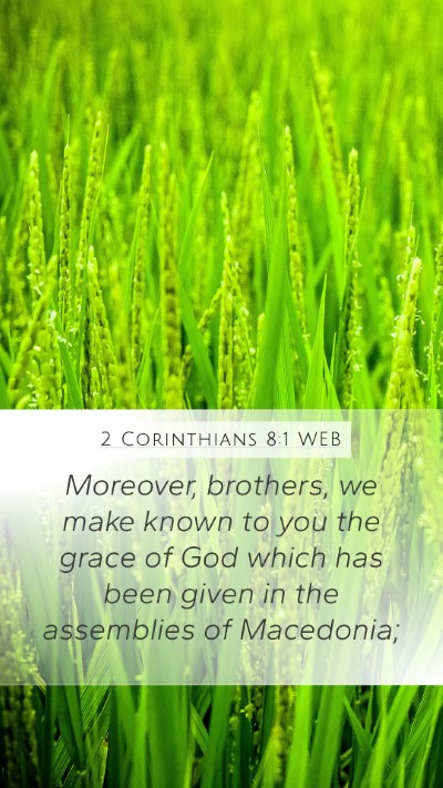 2 Corinthians 8:1 WEB Bible Verse Image