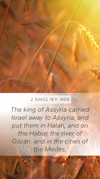 2 Kings 18:11 WEB Bible Verse Image