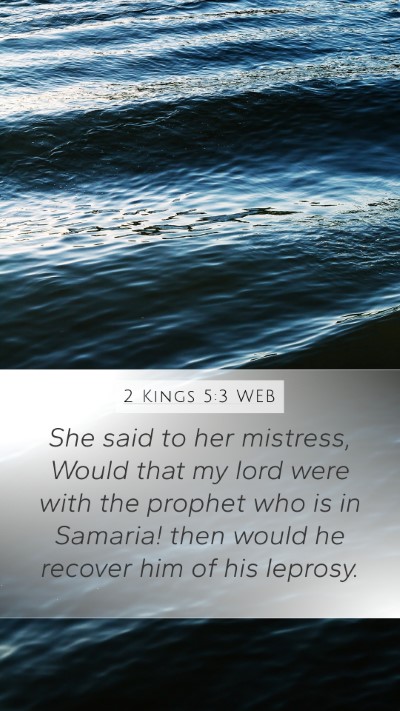 2 Kings 5:3 WEB Bible Verse Image