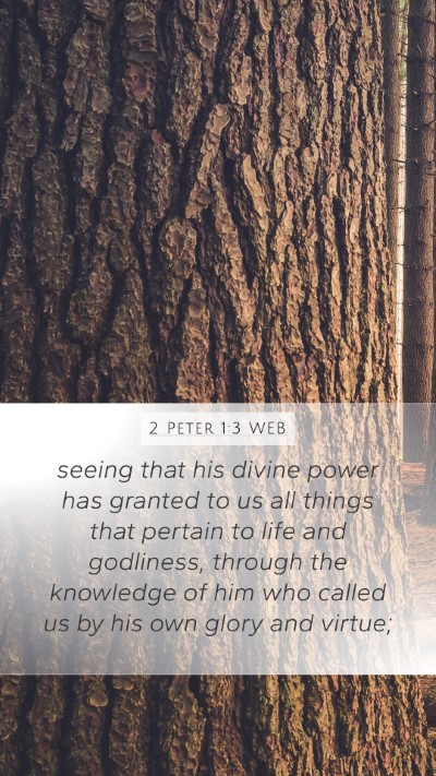 2 Peter 1:3 WEB Bible Verse Image