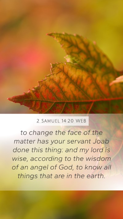 2 Samuel 14:20 WEB Bible Verse Image