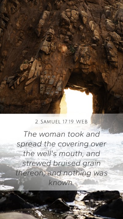 2 Samuel 17:19 WEB Bible Verse Image