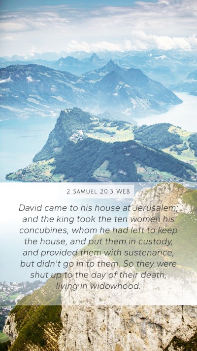 2 Samuel 20:3 WEB Bible Verse Image