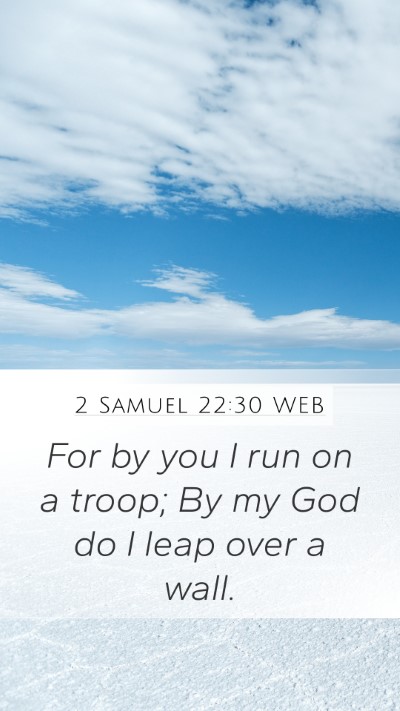 2 Samuel 22:30 WEB Bible Verse Image