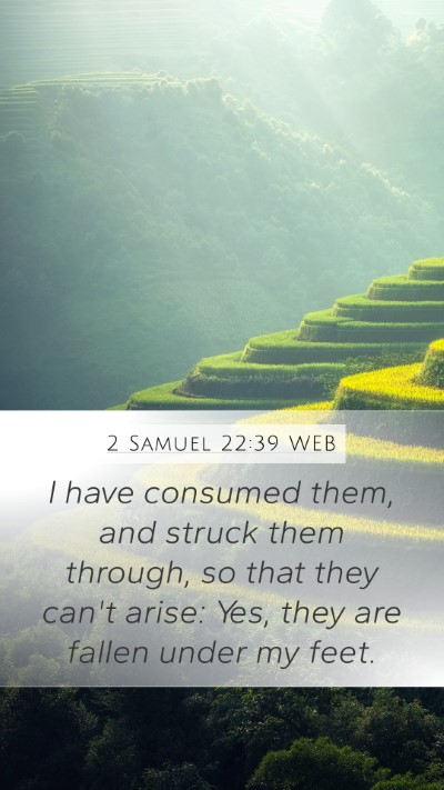 2 Samuel 22:39 WEB Mobile Phone Wallpaper - I have consumed them, and struck them through, so - Mobile Bible Verse Wallpaper