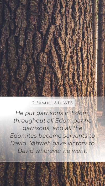 2 Samuel 8:14 WEB Bible Verse Image