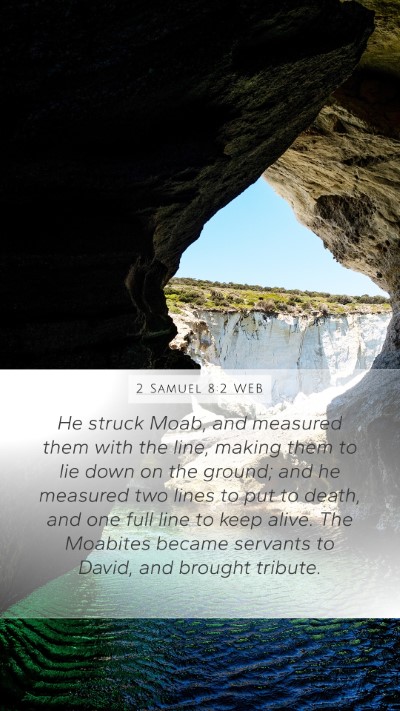 2 Samuel 8:2 WEB Bible Verse Image