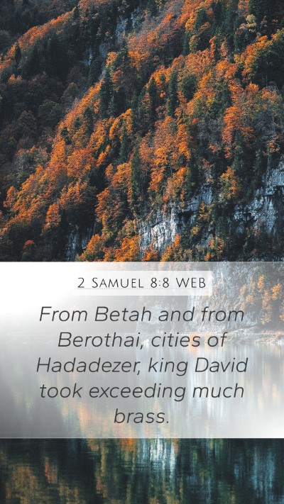 2 Samuel 8:8 WEB Bible Verse Image