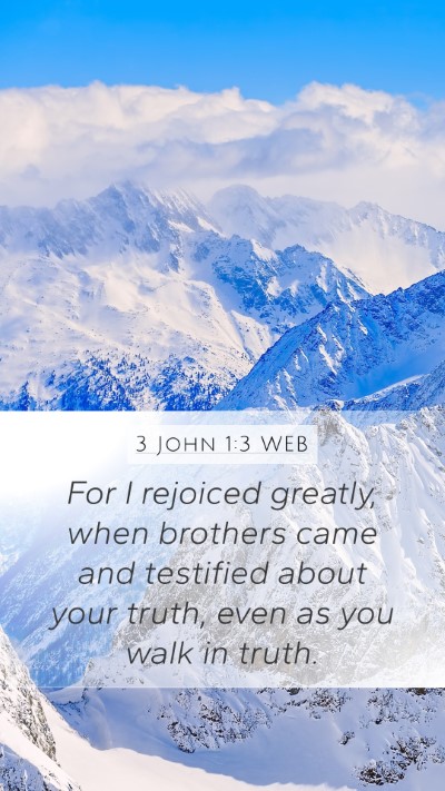 3 John 1:3 WEB Bible Verse Image
