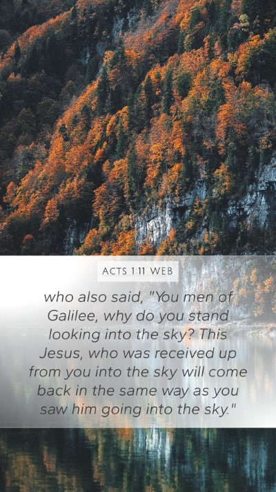 Acts 1:11 WEB Bible Verse Image
