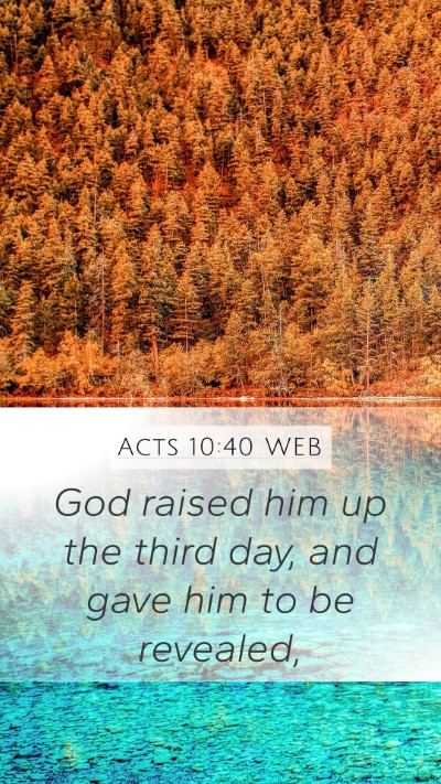 Acts 10:40 WEB Bible Verse Image