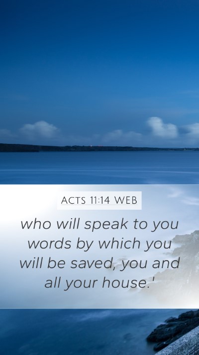Acts 11:14 WEB Bible Verse Image