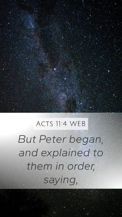 Acts 11:4 WEB Mobile Phone Wallpaper - But Peter began, and explained to them in order, - Mobile Bible Verse Wallpaper