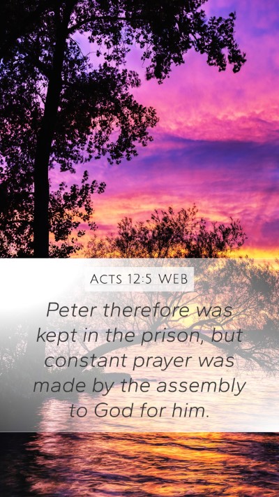 Acts 12:5 WEB Mobile Phone Wallpaper - Peter therefore was kept in the prison, but - Mobile Bible Verse Wallpaper