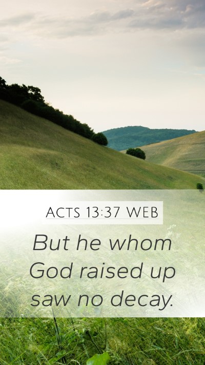 Acts 13:37 WEB Mobile Phone Wallpaper - But he whom God raised up saw no - Mobile Bible Verse Wallpaper
