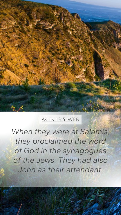 Acts 13:5 WEB Bible Verse Image