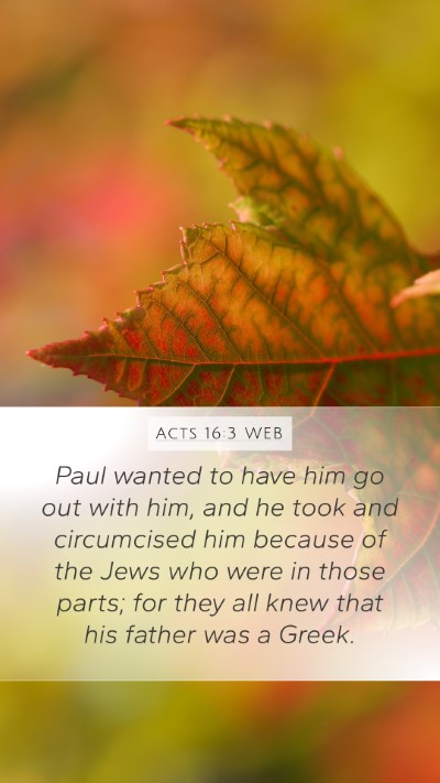 Acts 16:3 WEB Bible Verse Image