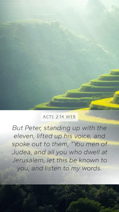 Acts 2:14 WEB Bible Verse Image