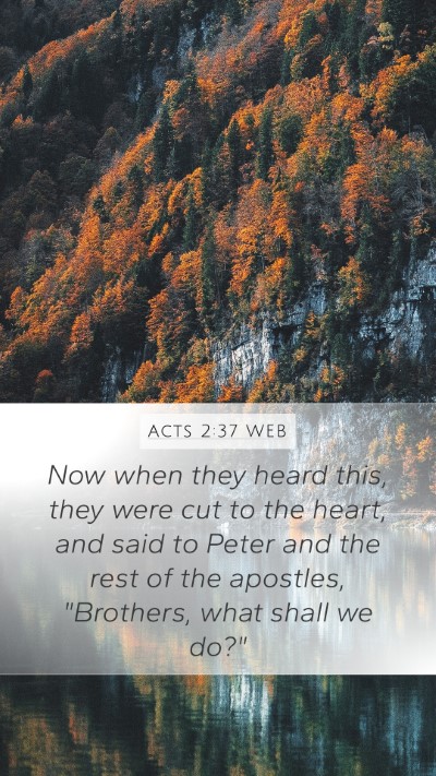 Acts 2:37 WEB Bible Verse Image