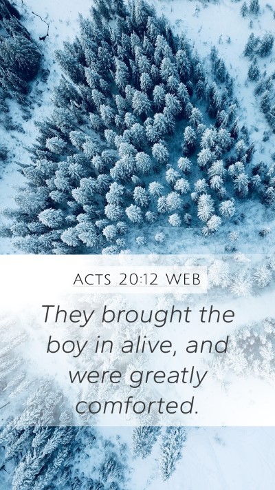 Acts 20:12 WEB Bible Verse Image
