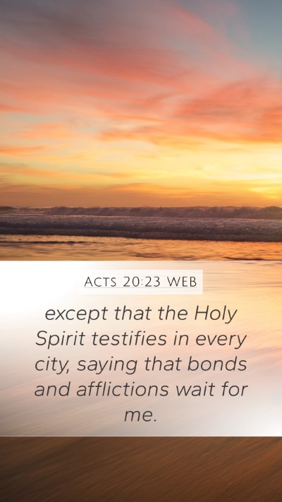 Acts 20:23 WEB Bible Verse Image