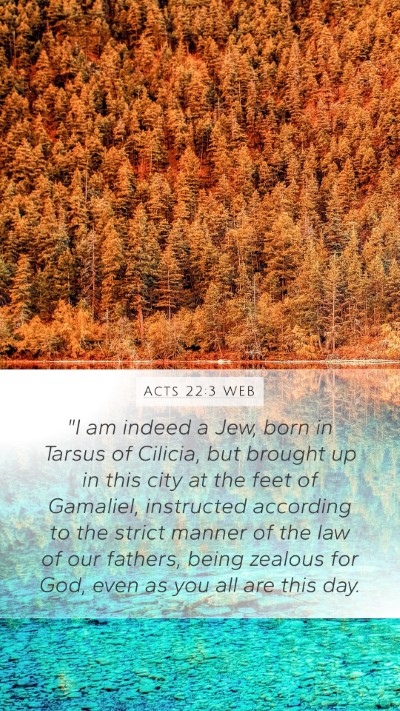 Acts 22:3 WEB Bible Verse Image