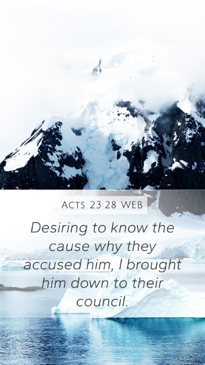 Acts 23:28 WEB Bible Verse Image