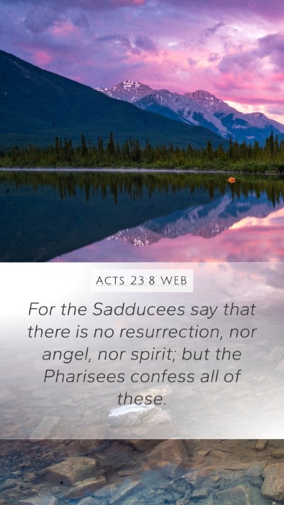 Acts 23:8 WEB Bible Verse Image