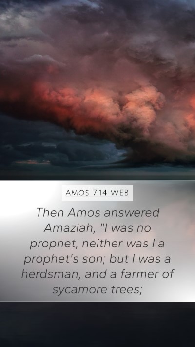 Amos 7:14 WEB Bible Verse Image