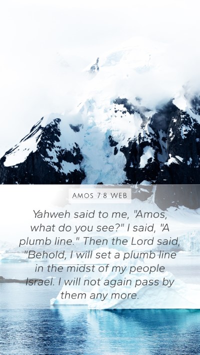 Amos 7:8 WEB Bible Verse Image