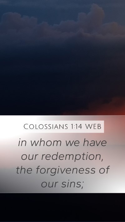 Colossians 1:14 WEB Bible Verse Image