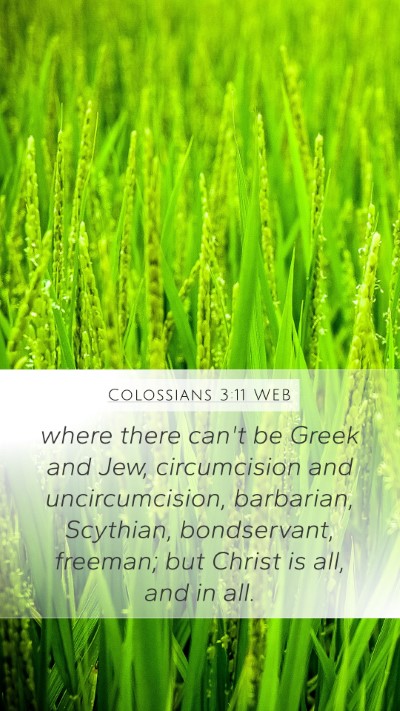 Colossians 3:11 WEB Bible Verse Image