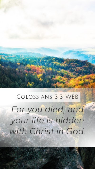 Colossians 3:3 WEB Bible Verse Image