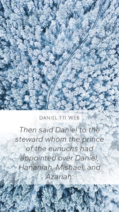 Daniel 1:11 WEB Bible Verse Image