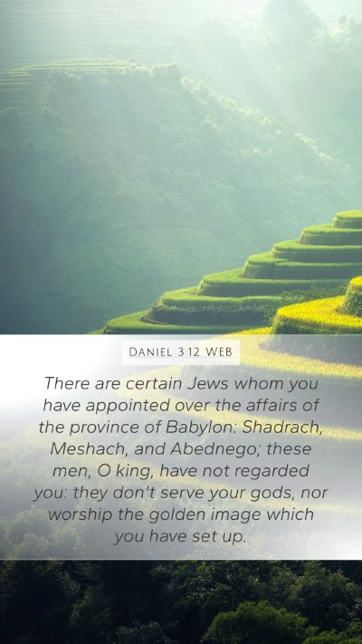 Daniel 3:12 WEB Bible Verse Image