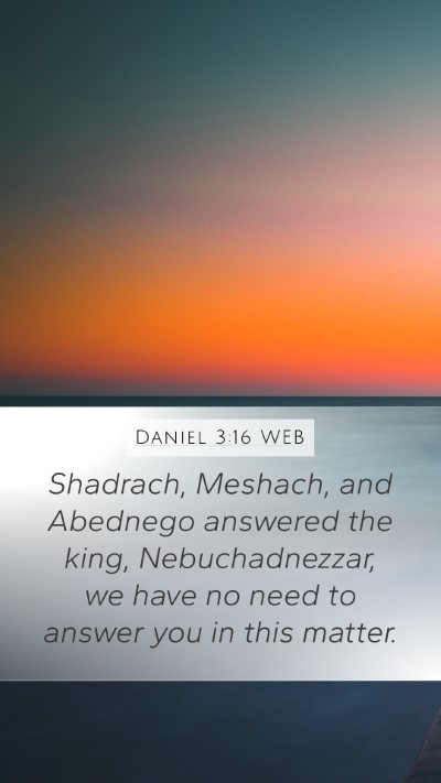 Daniel 3:16 WEB Bible Verse Image