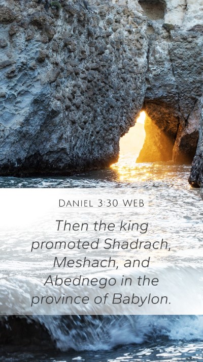 Daniel 3:30 WEB Mobile Phone Wallpaper - Then the king promoted Shadrach, Meshach, and - Mobile Bible Verse Wallpaper