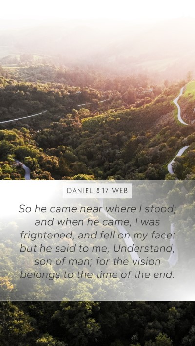 Daniel 8:17 WEB Bible Verse Image