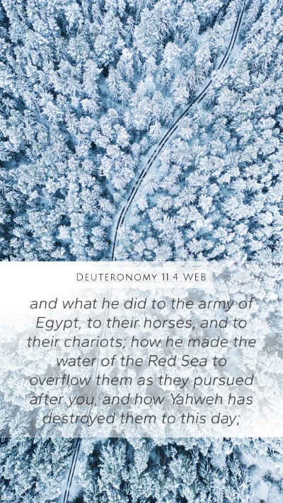 Deuteronomy 11:4 WEB Mobile Phone Wallpaper - and what he did to the army of Egypt, to their - Mobile Bible Verse Wallpaper