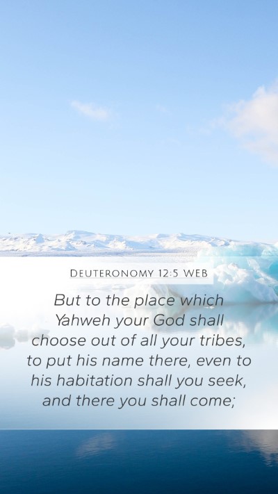Deuteronomy 12:5 WEB Bible Verse Image