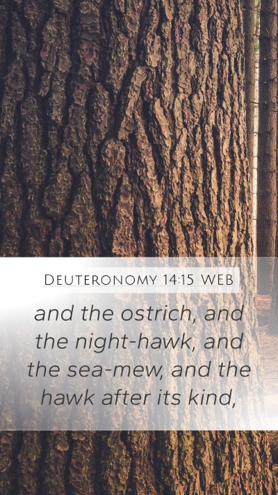 Deuteronomy 14:15 WEB Bible Verse Image