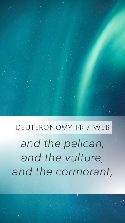 Deuteronomy 14:17 WEB Mobile Phone Wallpaper - and the pelican, and the vulture, and the - Mobile Bible Verse Wallpaper